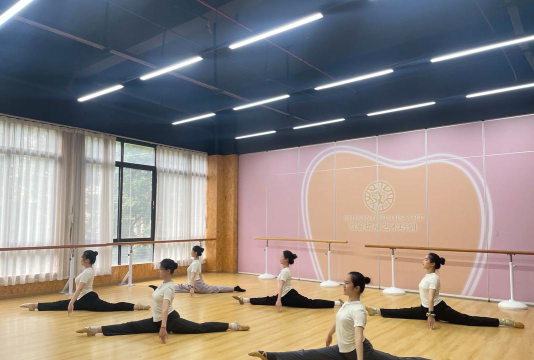 金昌市星洸舞蹈培训有限公司阅读区