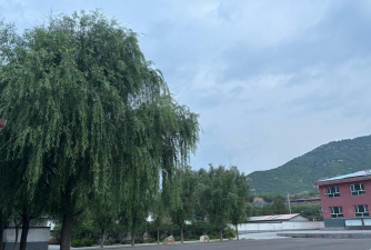 甘肃省国营小宛农场学校阅读区