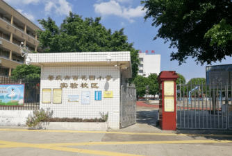 坑口蕉园小学阅读区