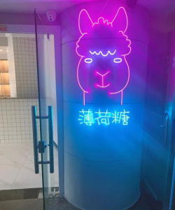 芜湖镜湖区萝卜时代科技培训中心有限公司阅读区