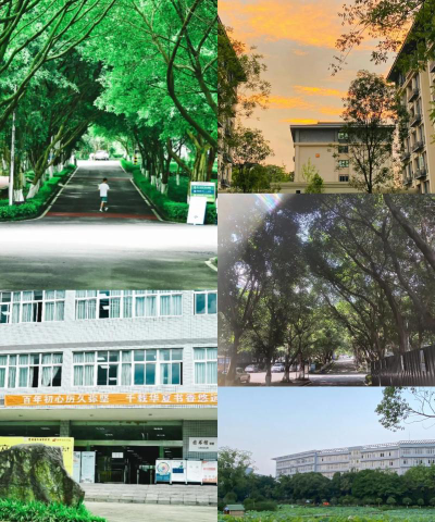 重庆对外经贸学院阅读区