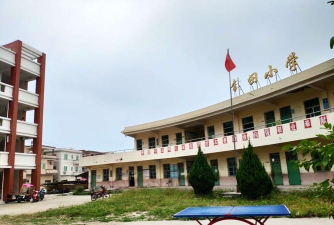 雷州市杨家镇锦坡小学阅读区