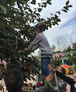 山东肥城市商业局幼儿园阅读区