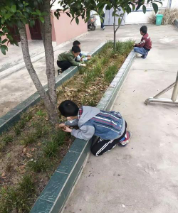 寺湾镇黄楝树中心小学阅读区