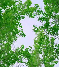 无锡格利泽信息科技有限公司阅读区