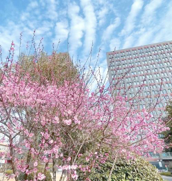 南京财经大学阅读区