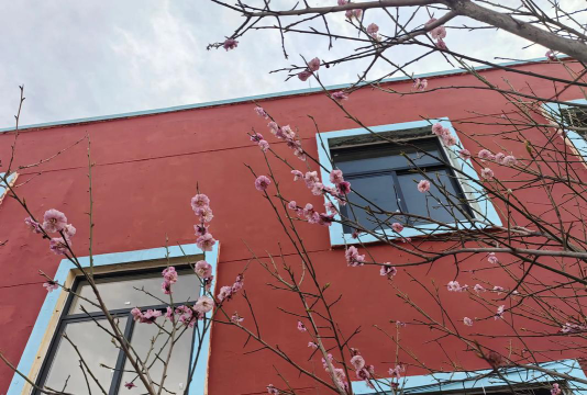睢县潮庄镇中心小学阅读区