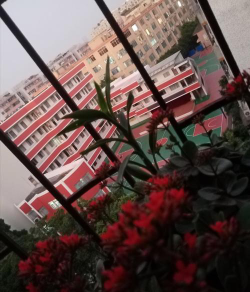 福州市西边小学阅读区
