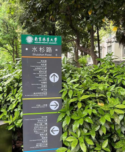 南京林业大学阅读区
