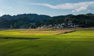 落卜镇云山私中阅读区
