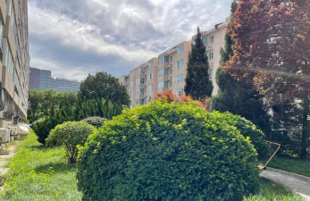杭州市德胜小学(都市水乡校区)阅读区