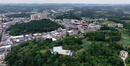 三台县西平镇狮王初级中学校阅读区