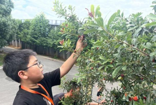 富阳市新登镇中心小学阅读区