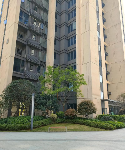 富阳市新登镇湘主辅小阅读区