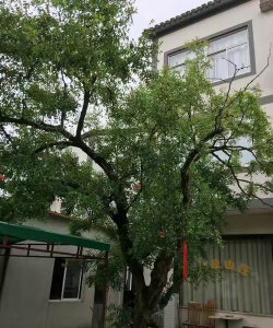 新光中学阅读区