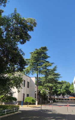 新北市立樟树国中阅读区