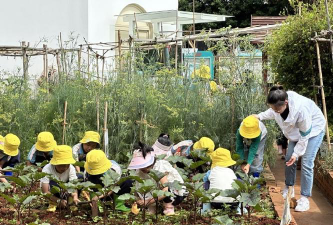 崇信县柏树乡申家庄幼儿园阅读区
