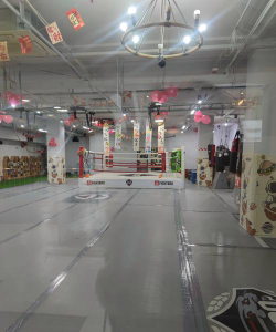 汝城县锐虎武道体育培训中心有限公司阅读区