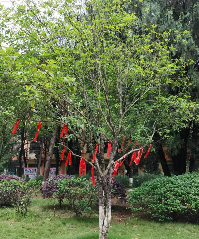 湘潭市岳塘区京桥教育培训学校有限公司阅读区
