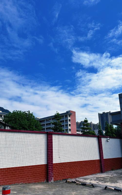 清新中学阅读区