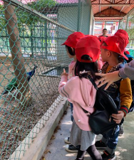 潮阳市文光街道健乐幼儿园阅读区