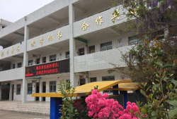 泰顺县泗溪镇中心小学阅读区
