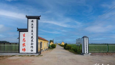安丘市石堆镇孟家庄幼儿园阅读区