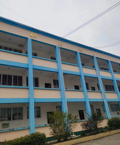 镇雄县黑树镇黑树中心小学阅读区