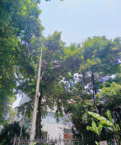 重庆市万州第六中学阅读区