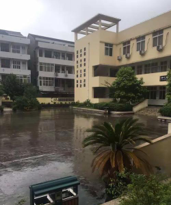 曹村镇曹村中心校阅读区