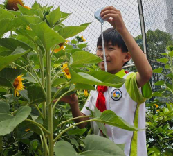 椒江区白云小学阅读区
