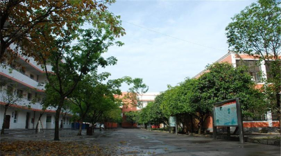 四川省大邑中学阅读区