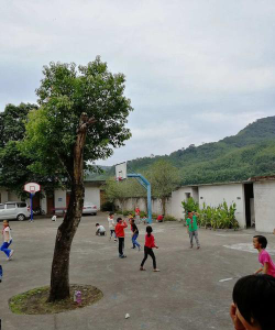 广宁县五和镇中心小学阅读区