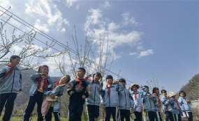 横渡中心学校阅读区