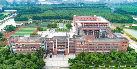 麻涌中心小学阅读区