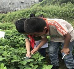 东江中学附属观塘小学阅读区