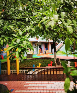 锦江区三圣乡小雨点幼儿园阅读区