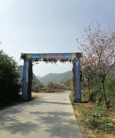 泗孟中学阅读区