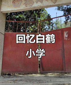 济南市天桥区北园白鹤小学阅读区