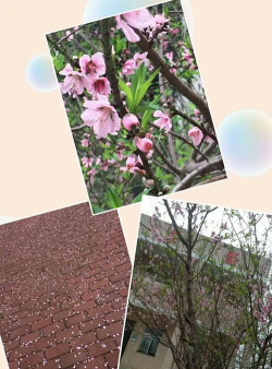 阳江市阳东区新洲镇福岗小学阅读区