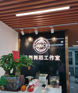 扬州零度舞蹈街舞培训有限公司阅读区