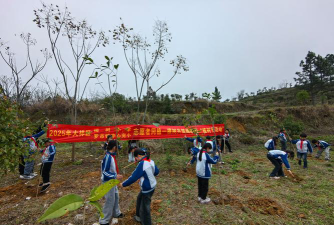 樟树小学阅读区