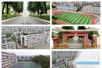 柳才高级中学阅读区