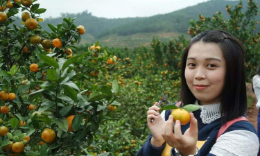 阳山县杨梅何皮教学点阅读区
