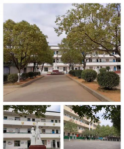 宝钢希望小学阅读区