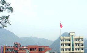 草林中心小学阅读区
