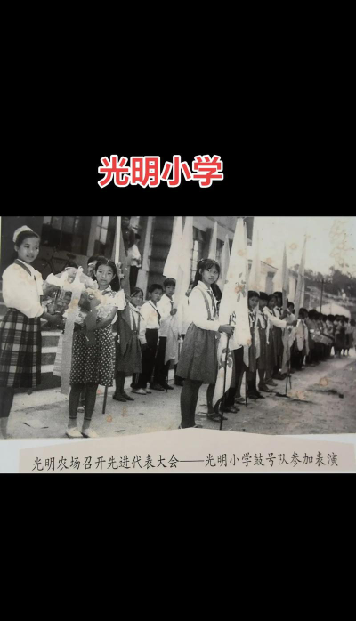 东华镇光明小学阅读区