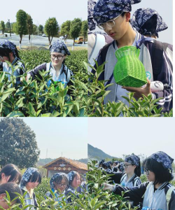菱湖镇第三中学阅读区