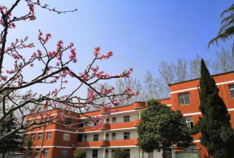 莱阳市城厢柳行联小阅读区