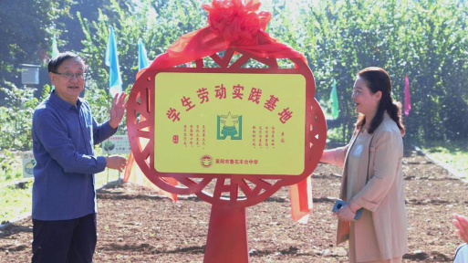 姜疃镇姜疃中心小学阅读区